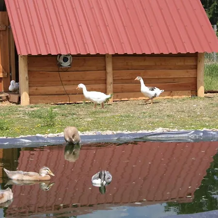 Vakantiehuis Ferienhaus Fur Bis Zu 4 Personen Zur Seeseite - #125267 *
